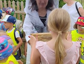 Miejskie miodobranie fot. M. Fiejdasz