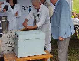 Miejskie miodobranie fot. M. Fiejdasz