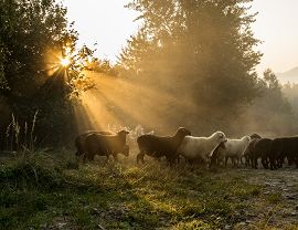 Barut Zdzisław 2022 - 03