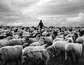 Grudysz Lukasz 2022 - 01