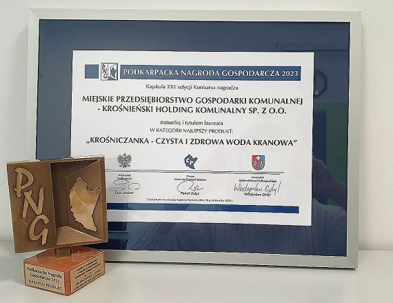 Dyplom i statuetka Krośniczanka