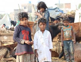 Rafał Gużkowski - Pakistan