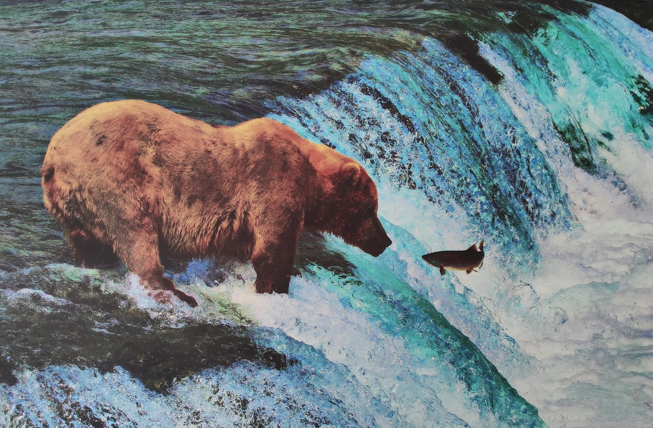 RCKP Wystawa Pogląd Pokoleń 2023 foto 2.jpg [681.47 KB]