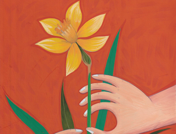 Pola nadzei - żonkil