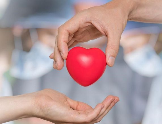 Grafika serca przekazywanego z jednej ręki do drugiej, źródło - gov.pl