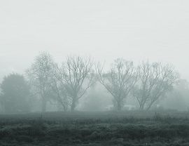 Frosty morning 003-photo Paweł Fiejdasz