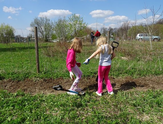 sadzenie przez dzieci