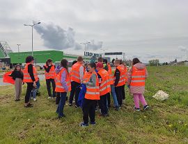 Sadzenie dyń w Krośnie