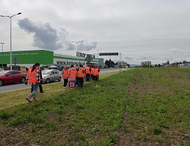 Sadzenie dyń w Krośnie