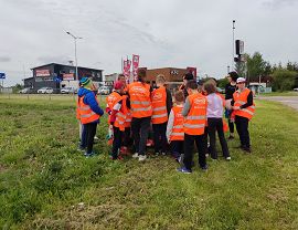 Sadzenie dyń w Krośnie