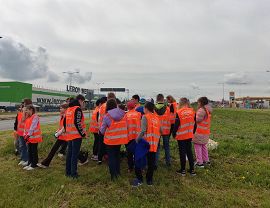 Sadzenie dyń w Krośnie