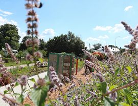 Otwarcie Parku Sensorycznego w Krośnie