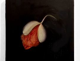 Joanna Dudek, Mak polny