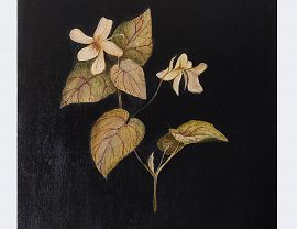 Joanna Dudek, Biały fiołek Rivina, 2023, olej na desce, 30x30cm