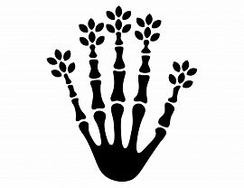 Jakub Woynarowski, Śmierć na gruszy, 2016