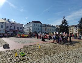 „KROSNO – NIE ZGADZA SIĘ NA SMOG” - happening