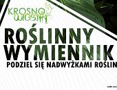 KROSNO WIOSNĄ 2024. Roślinny wymiennik