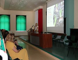IMG_9461.JPG
