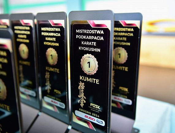 Mistrzostwa Podkarpacia kumite