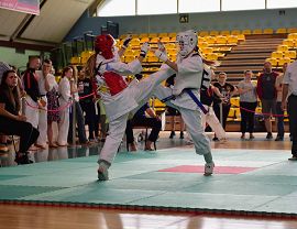 Mistrzostwa Podkarpacia kumite