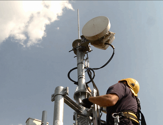 Fot. NETWORKS