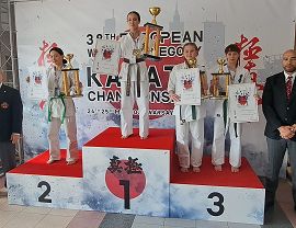 7a.jpg