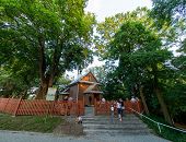 SMYCZKI NA WOJCIECHU