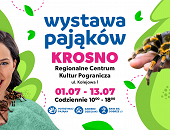 Wystawa pająków w RCKP