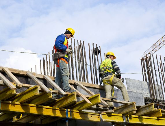 Freepik. Budwolańcy