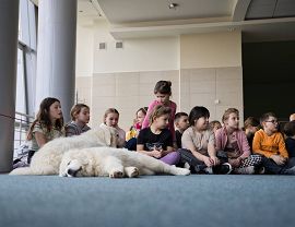 RCKP Ferie zimowe 2026 PÓŁKOLONIA fot. Michał Maślany 5.jpg