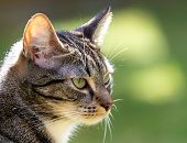 Nie przechodź obojętnie! Reaguj!