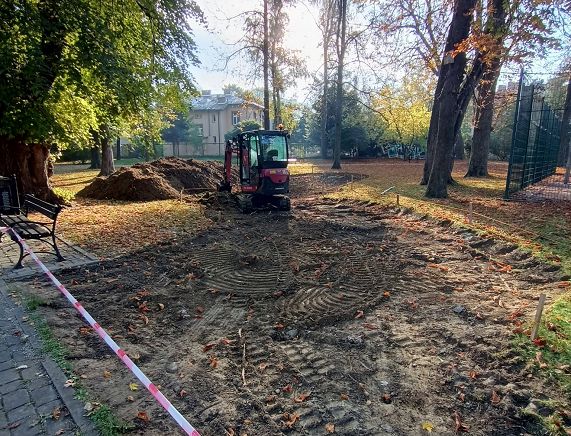 ogród deszczowy