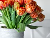 Drogie Krośnianki! W dniu Waszego święta...