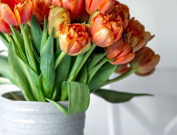 bukiet tulipanów.jpg