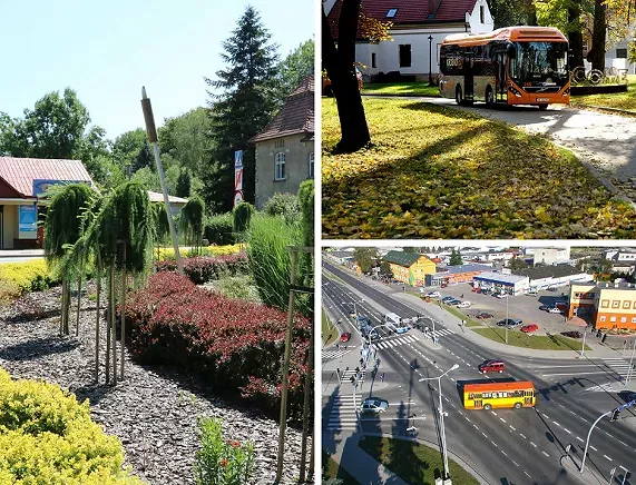 spotkanie zieleń miejska i transport.webp