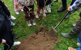 IMG_20260421_102659281.jpg