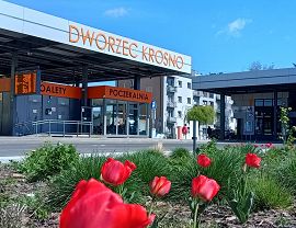 tulipany dworzec 23.04.2026.jpeg