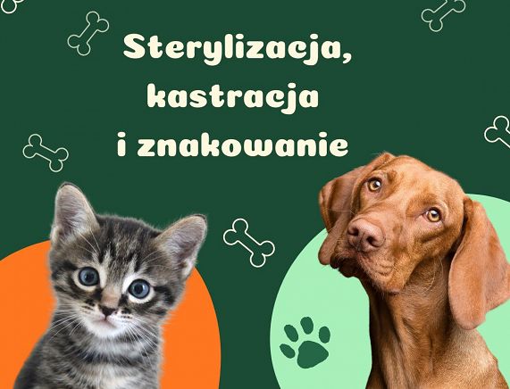 Green Organic Cat Dog Instagram Post.jpg